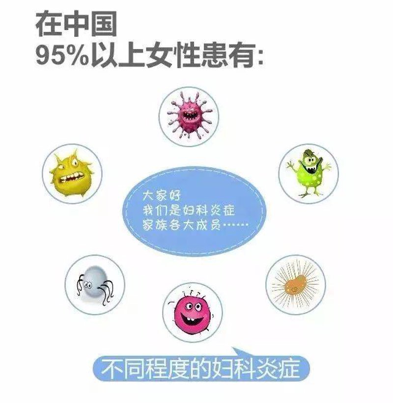 女性健康案例：科学体重管理vs盲目节食的优劣势深度剖析